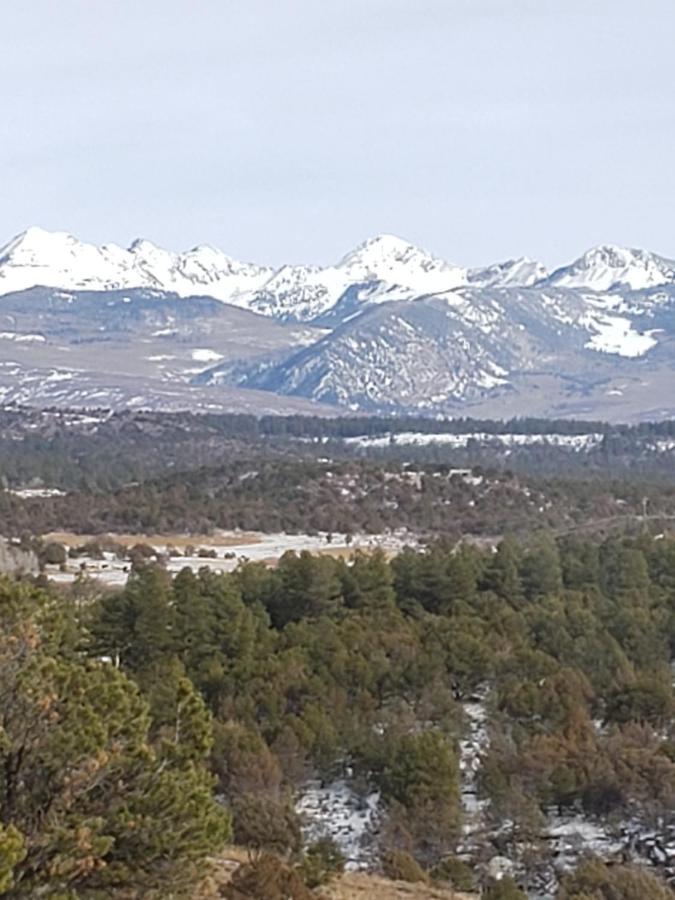 Starry Nights Ranch Bed & Breakfast Mancos Luaran gambar