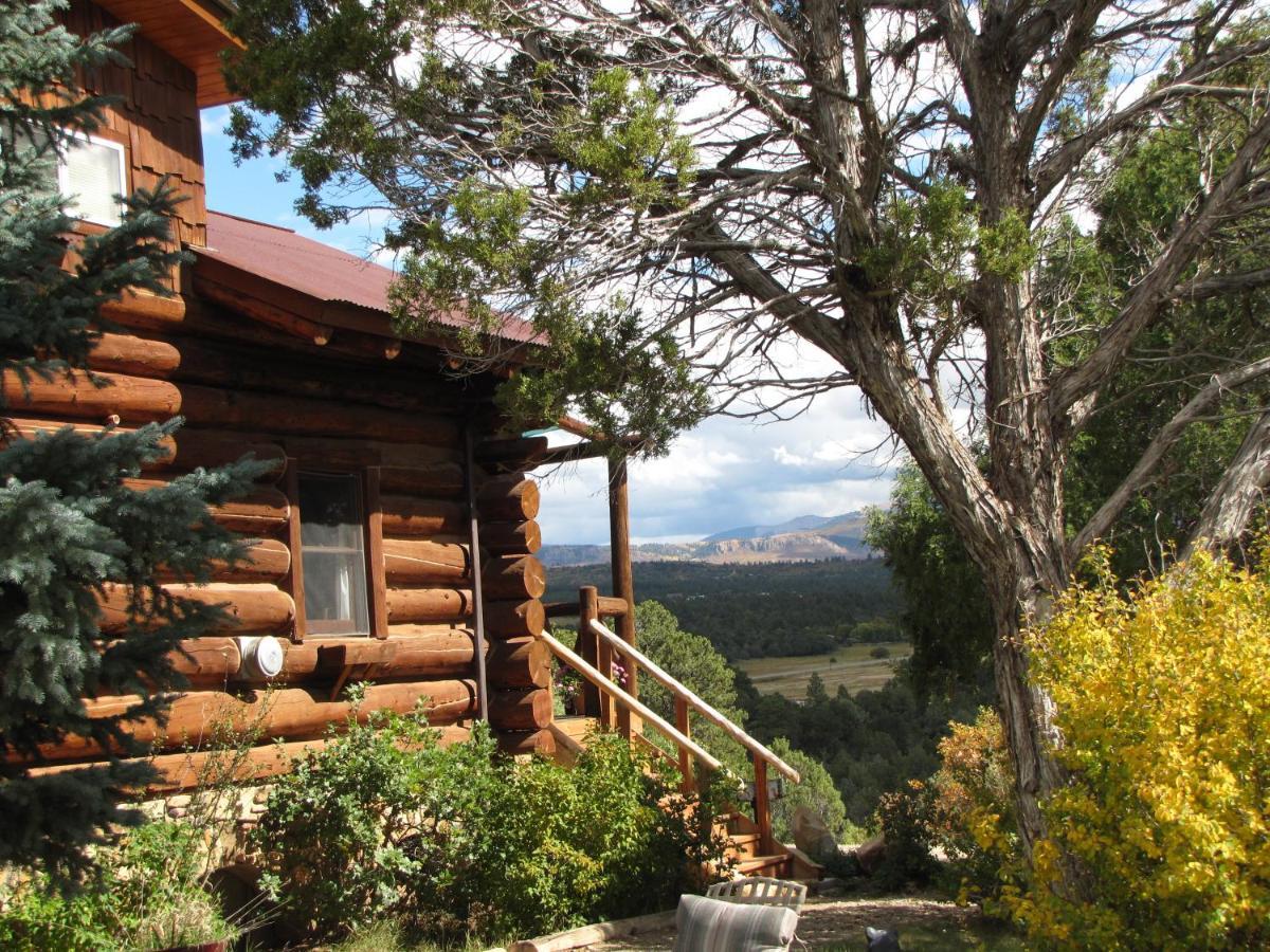 Starry Nights Ranch Bed & Breakfast Mancos Luaran gambar